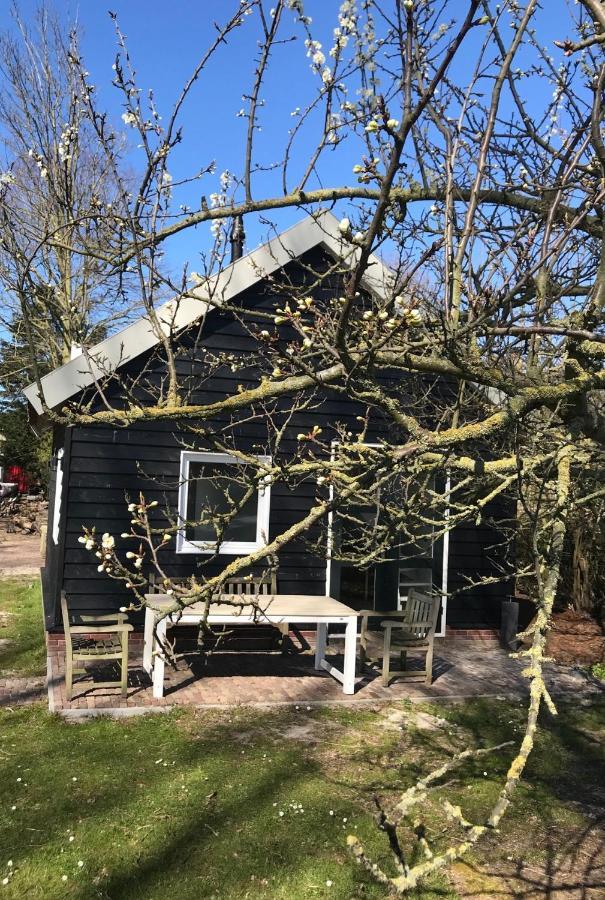 אנדייק Ijsselmeer Lake Houses מראה חיצוני תמונה